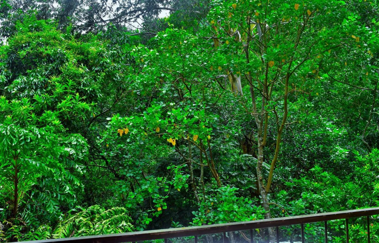 Green Cottage 埃拉 外观 照片