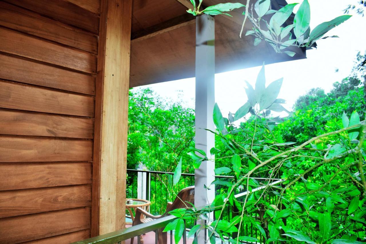 Green Cottage 埃拉 外观 照片