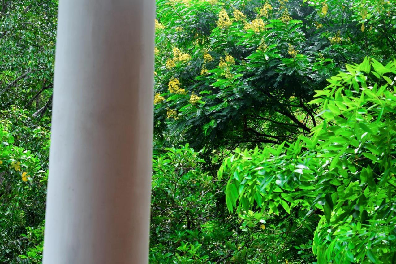 Green Cottage 埃拉 外观 照片