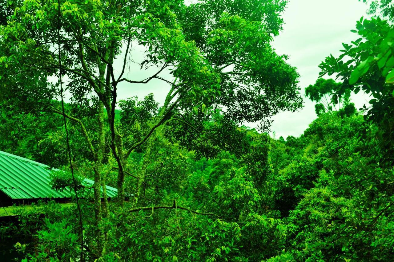 Green Cottage 埃拉 外观 照片
