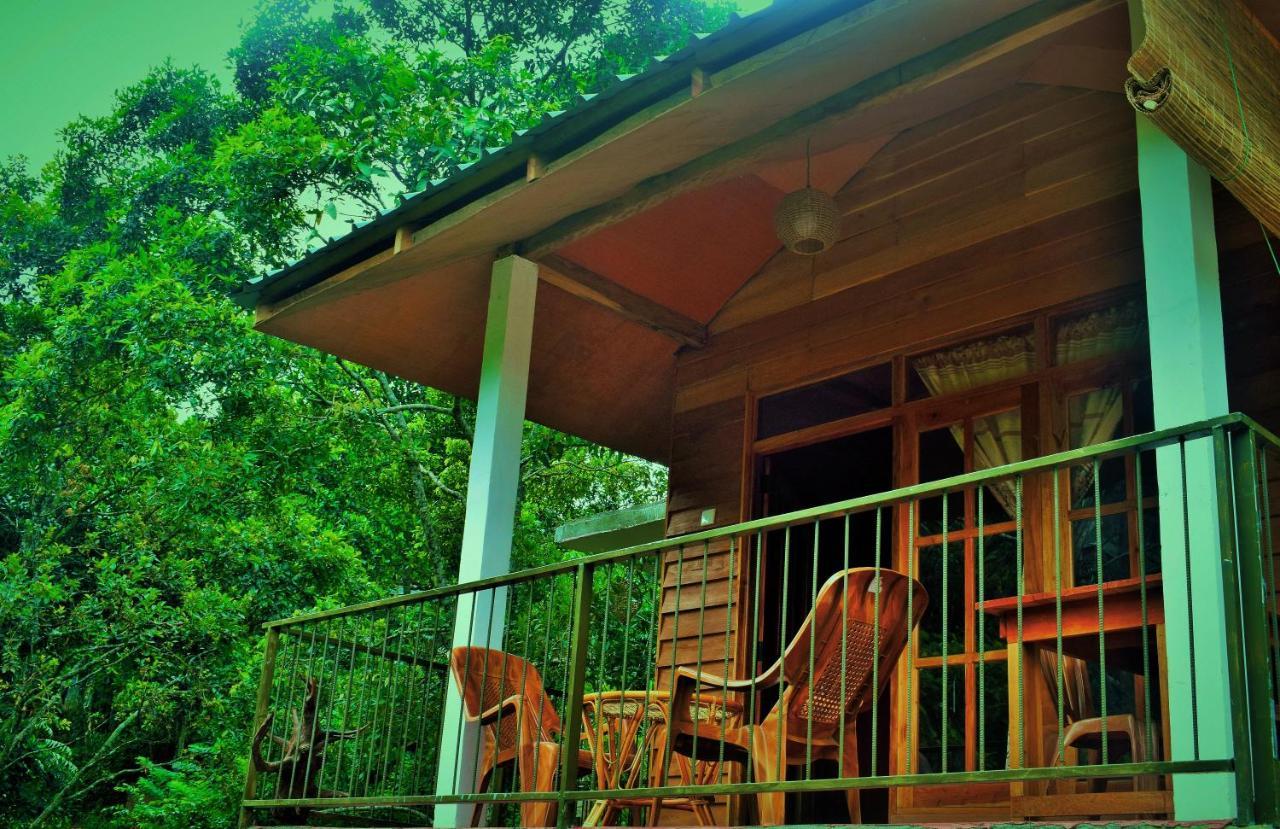 Green Cottage 埃拉 外观 照片
