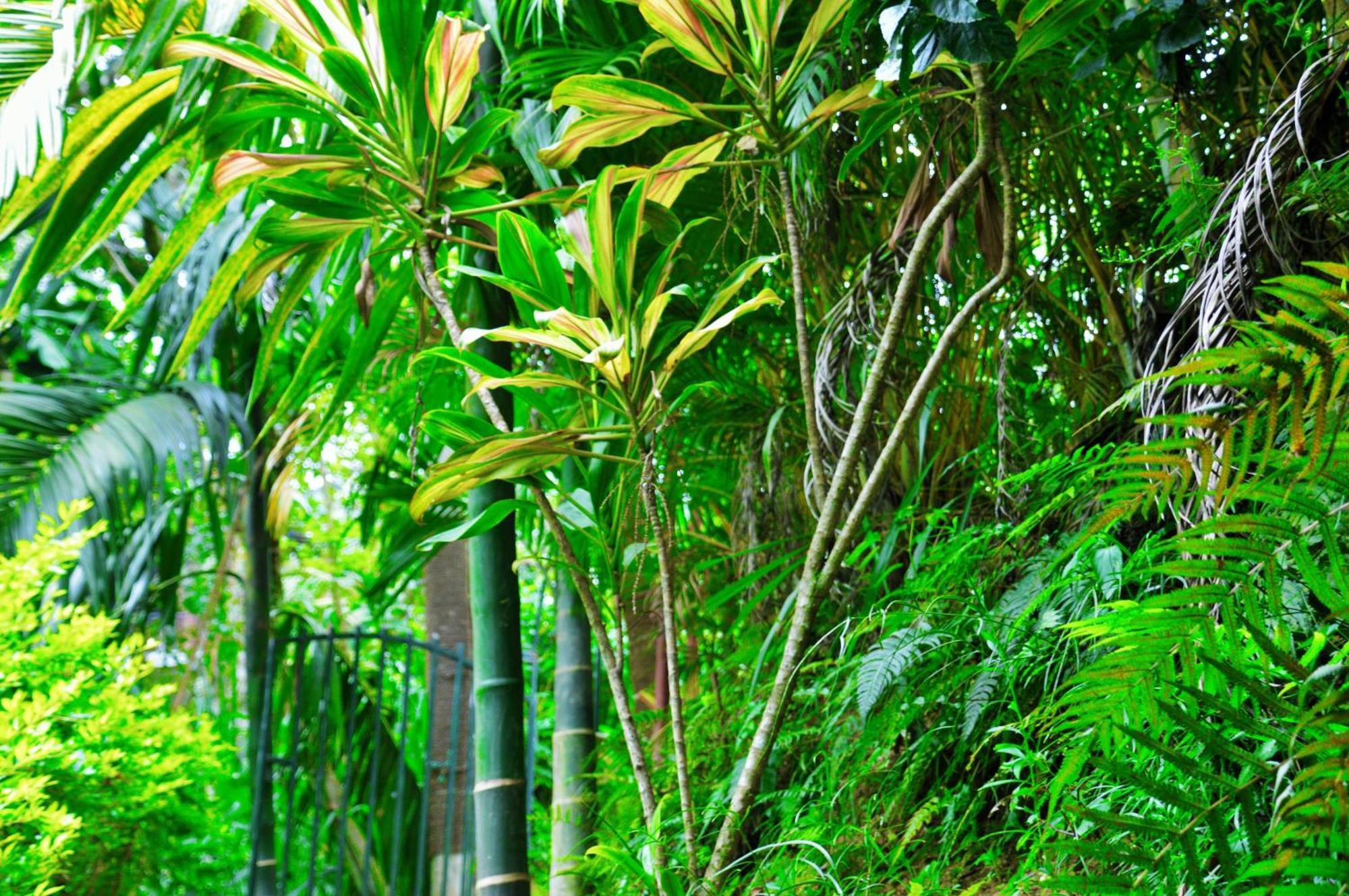 Green Cottage 埃拉 外观 照片